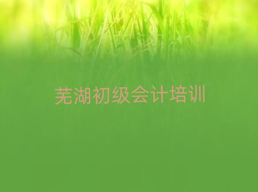 2025年蕪湖弋江區(qū)學(xué)初級會計(jì)速成班