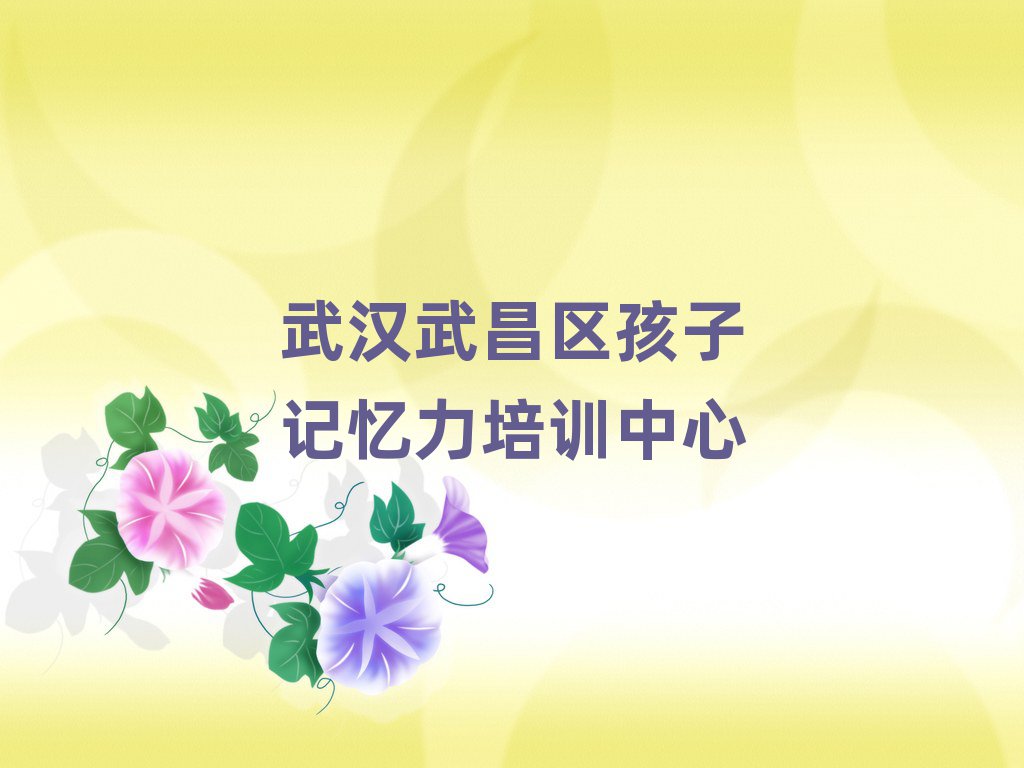 武漢武昌區(qū)學(xué)孩子記憶力速成班推薦一覽
