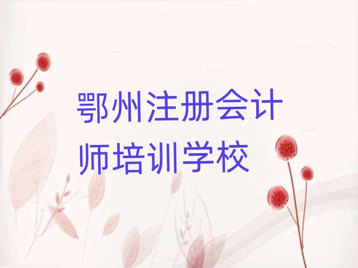 鄂州哪里有注冊會計(jì)師學(xué)校名單精選一覽