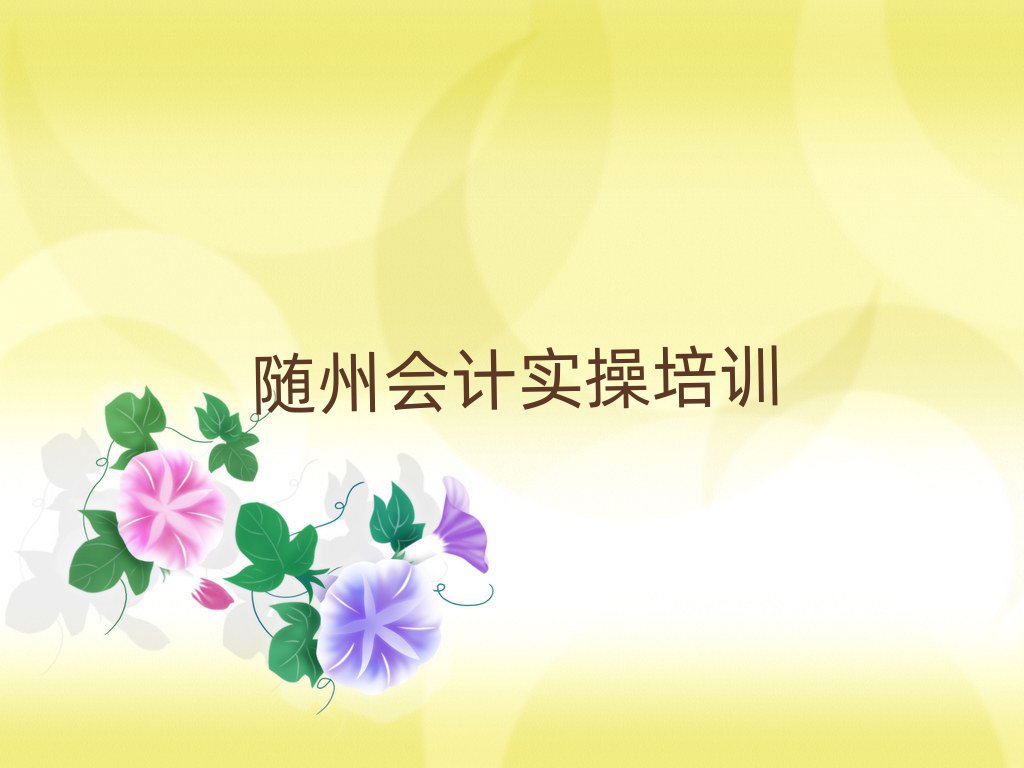 隨州學(xué)會計(jì)實(shí)操那個(gè)學(xué)校好名單榜首一覽