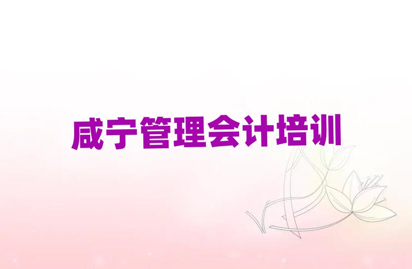 2025年咸寧咸安區管理會計培訓班有哪些排名公布