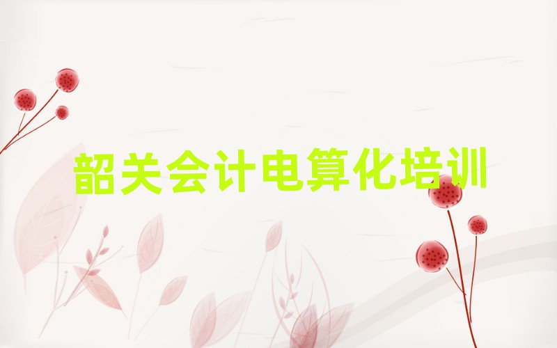 6月韶關湞江區(qū)多少錢會計電算化培訓班要