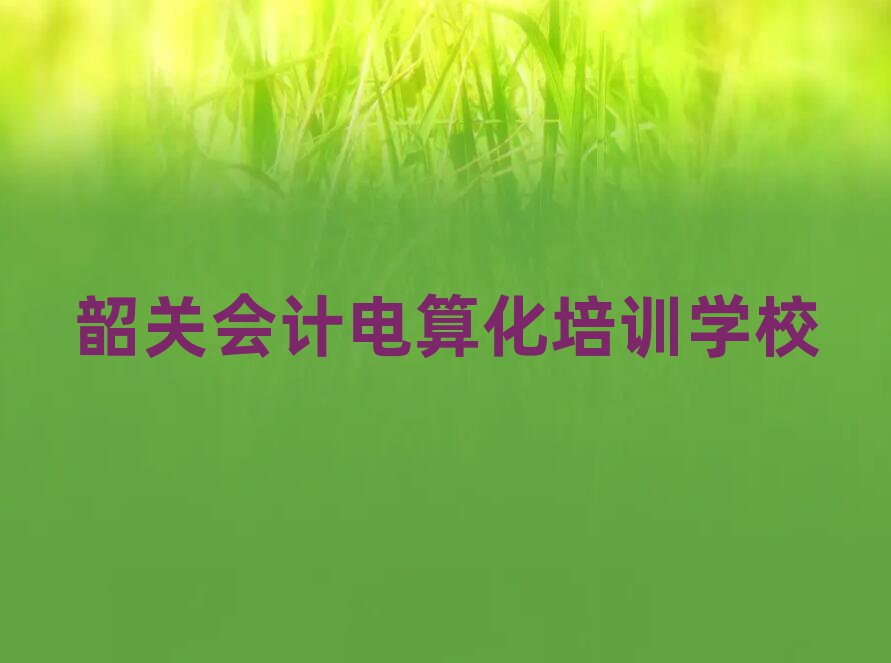 6月韶關湞江區(qū)多少錢會計電算化培訓班要