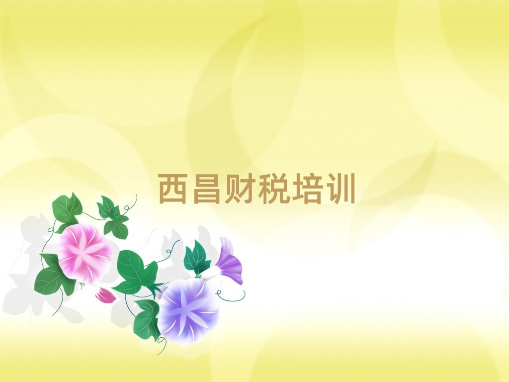 西昌財稅培訓班晚班排名更新