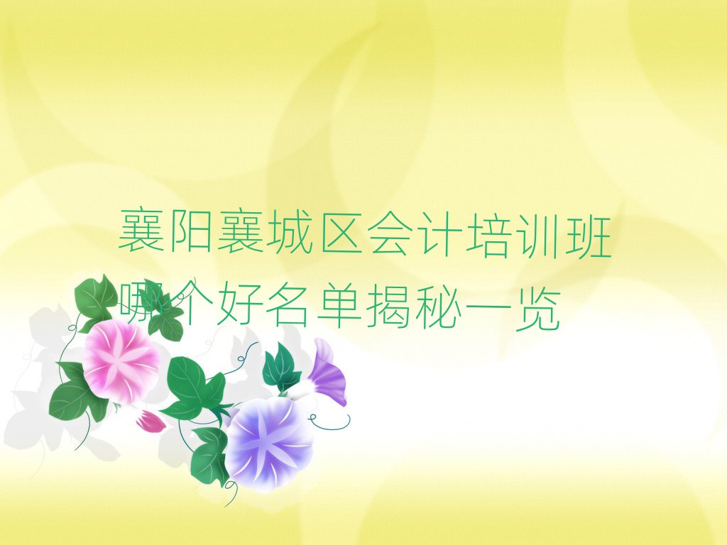 襄陽襄城區(qū)會計(jì)培訓(xùn)班哪個(gè)好名單揭秘一覽