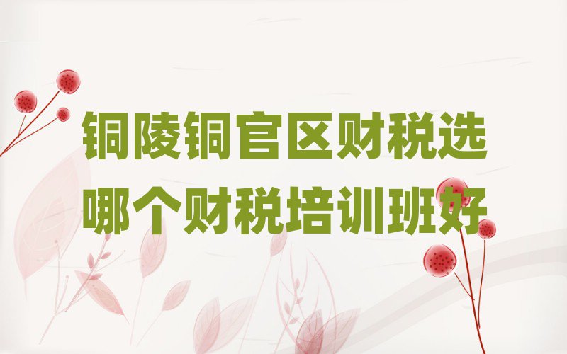 銅陵銅官區財稅選哪個財稅培訓班好