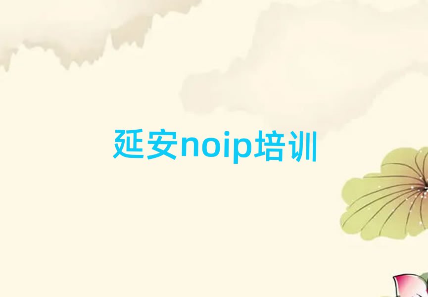 noip