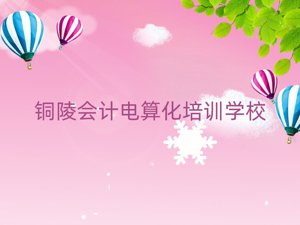 銅陵教會計電算化的培訓班名單榜首公布