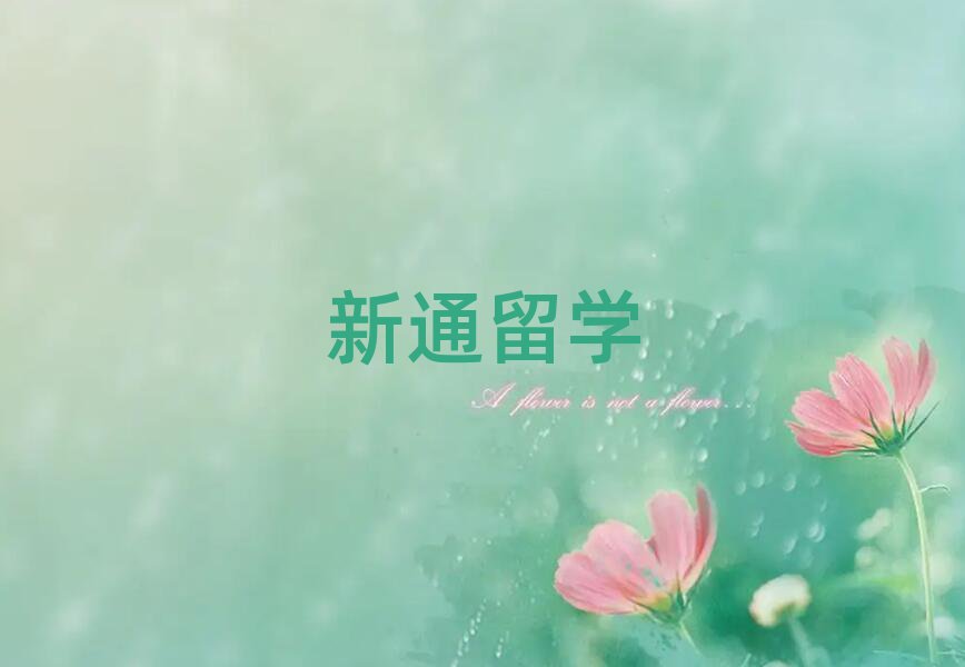 ӑc^VʿWнαPc
