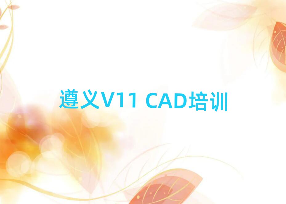 x݅^V11 CADWУһ[