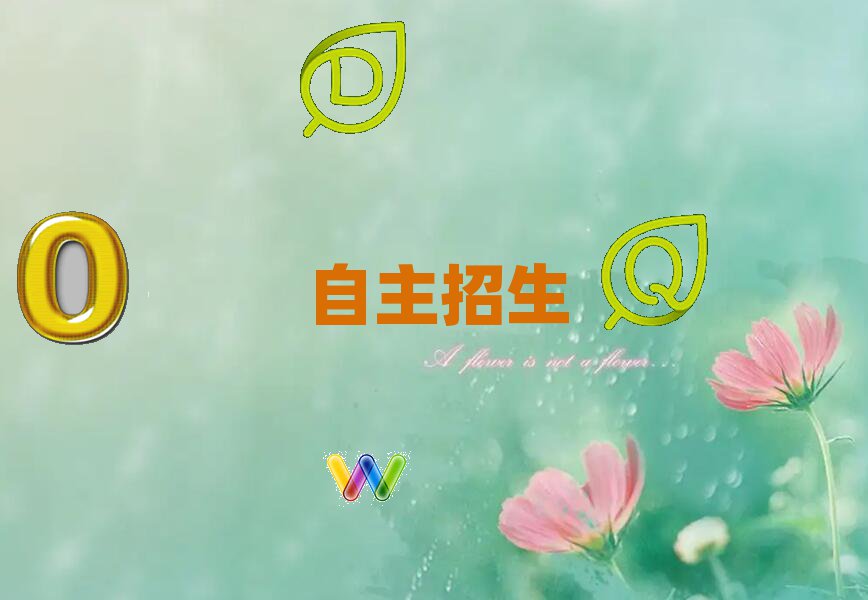 2019݌W