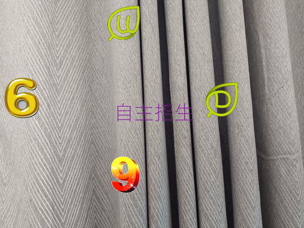 2019݌W