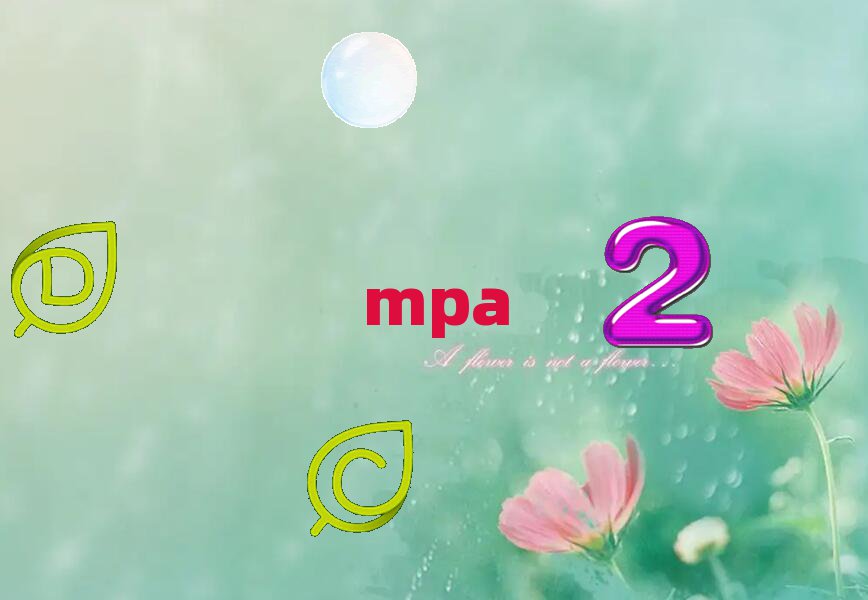2019T^υ^MPAӖҪX