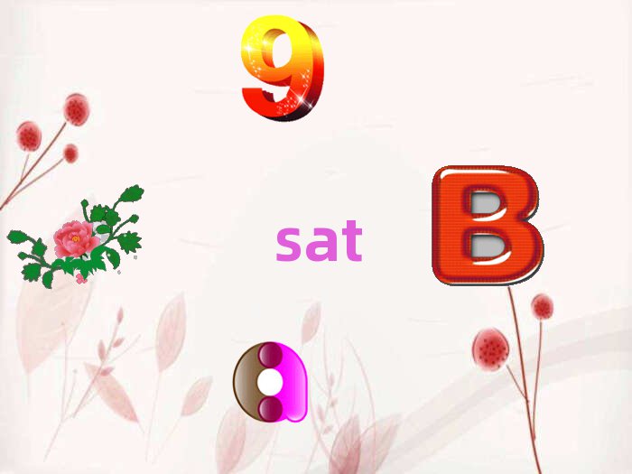 Wsat